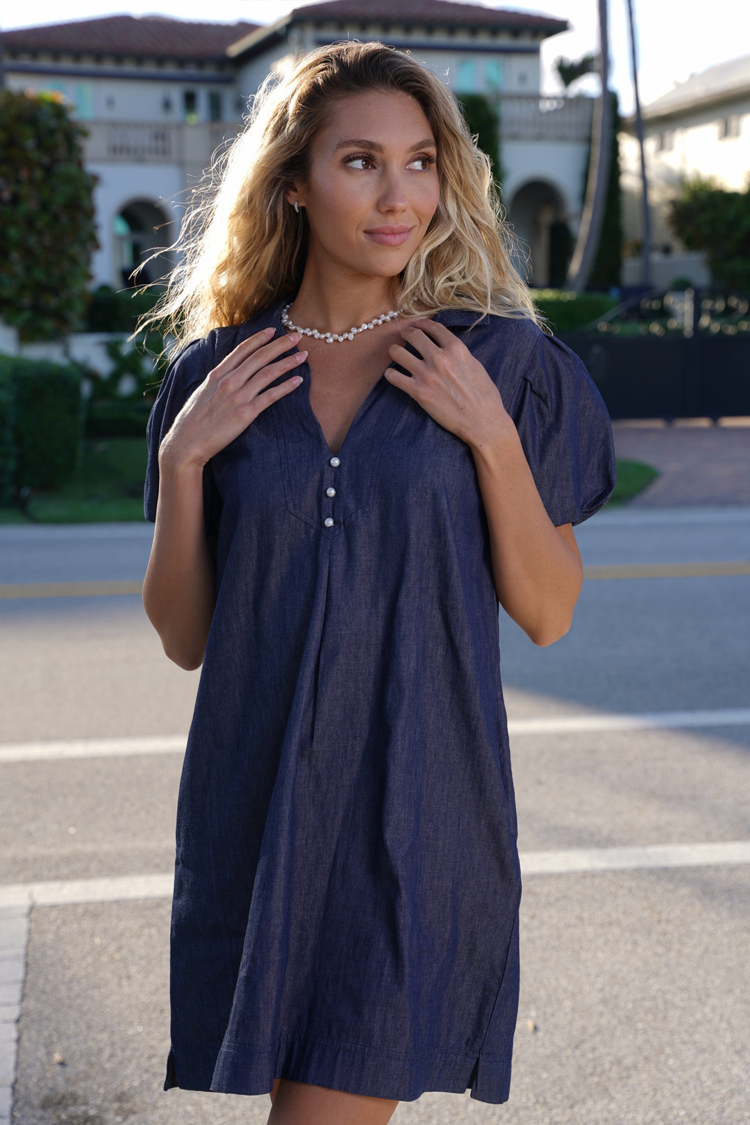 Virginia Dress Denim